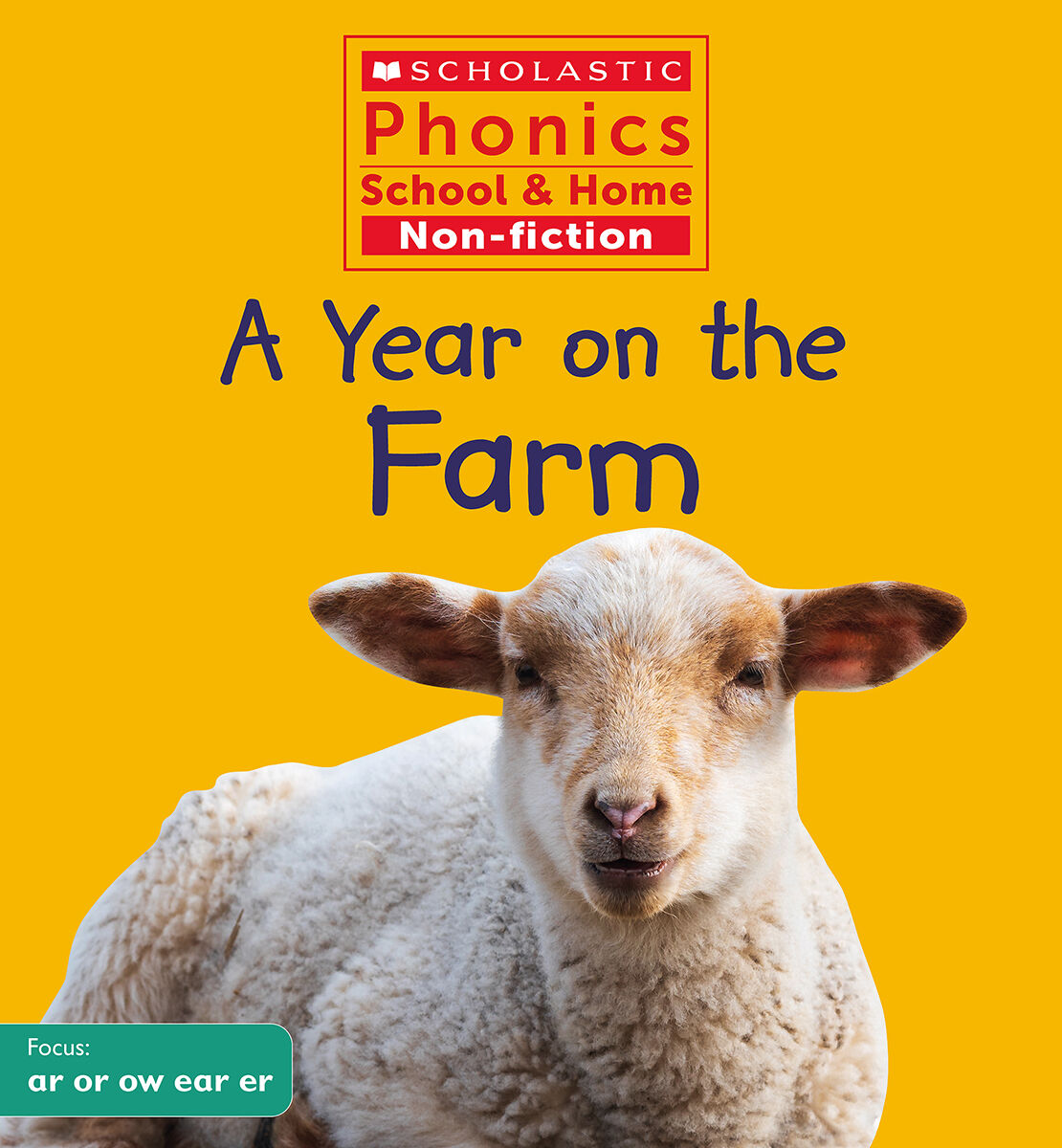 Scholastic Phonics School & Home Non-fiction Complete Pack image number 6