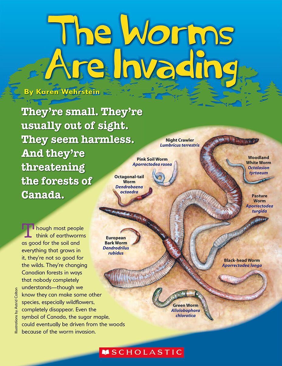 LPEY Levelled Libraries: Levels W-Z image number 3