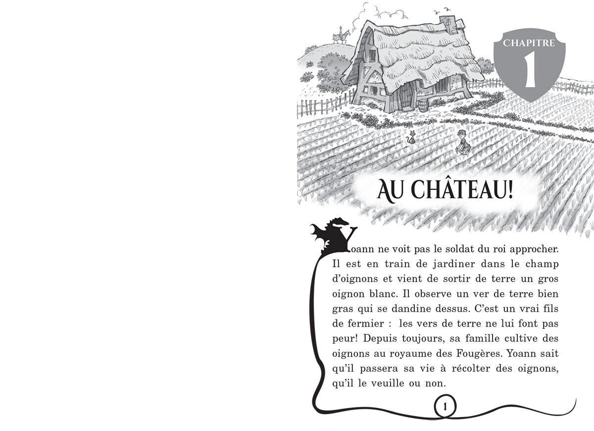 Ma&icirc;tres des dragons : N&deg; 1 - Le r&eacute;veil du dragon de la Terre image number 1