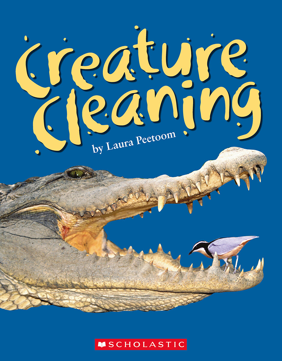 LPEY Levelled Libraries: Level M image number 8