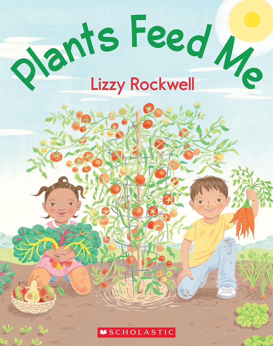 Modes in Focus: Kindergarten image number 2