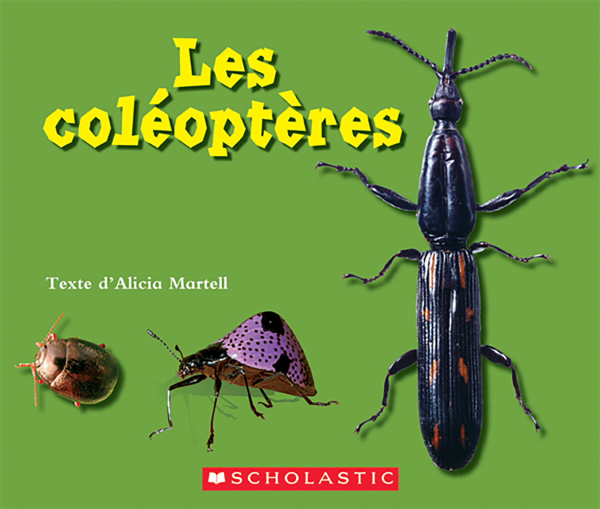 Envol an litt&eacute;ratie 2e &agrave; 4e ann&eacute;e: Niveau F: Les col&eacute;opt&egrave;res Emballage de 6 image number 0