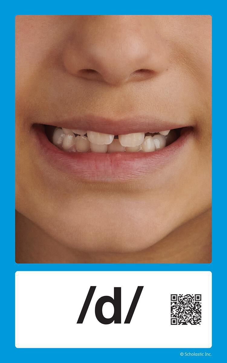 Articulation Cards image number 2