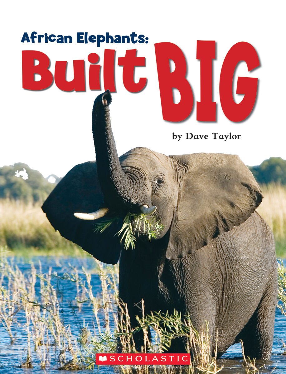 LPEY Levelled Libraries: Level Q image number 1