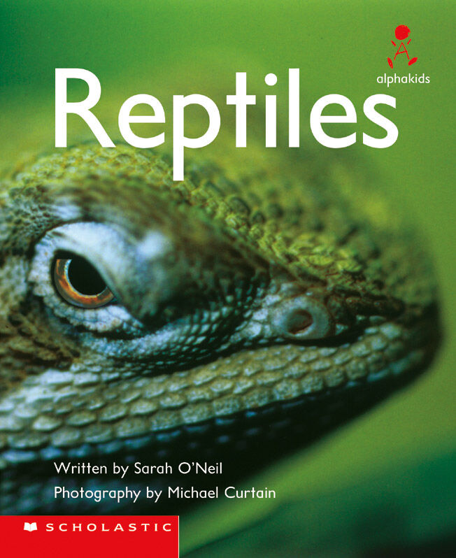 Alphakids: Set 2, Levels 1-11 Complete Set image number 7