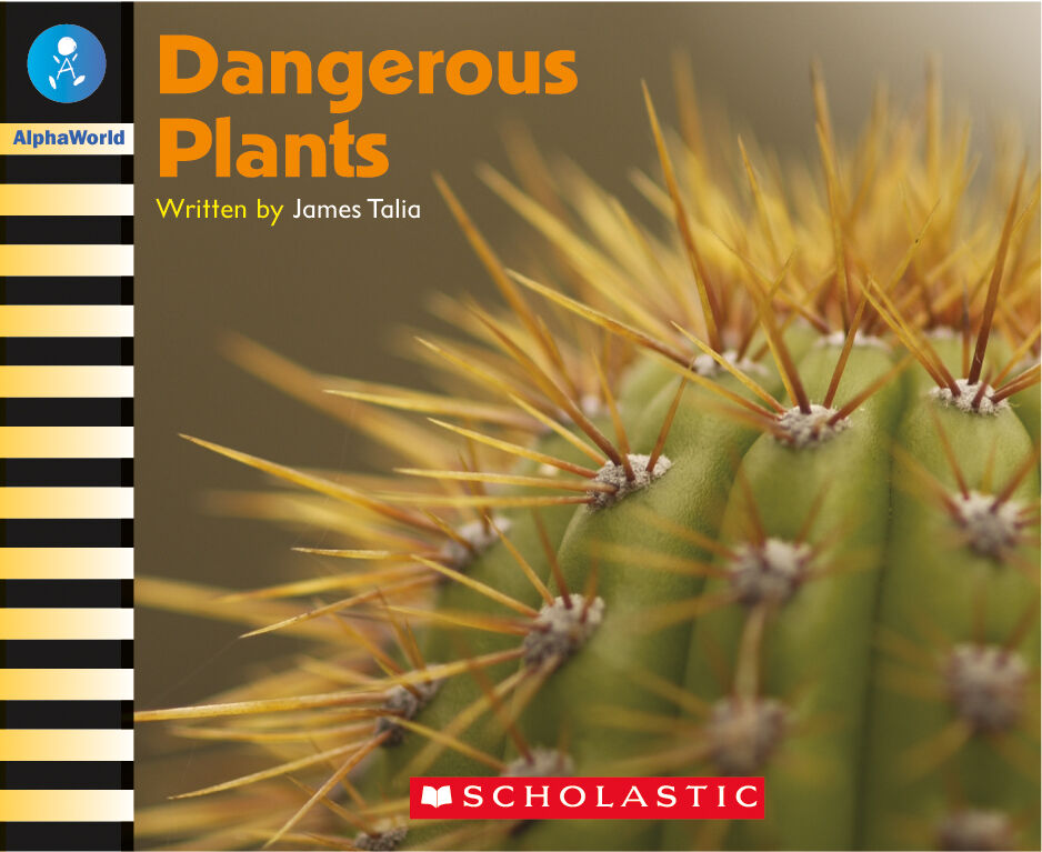 AlphaWorld: Levels 6-11 Book Set image number 2