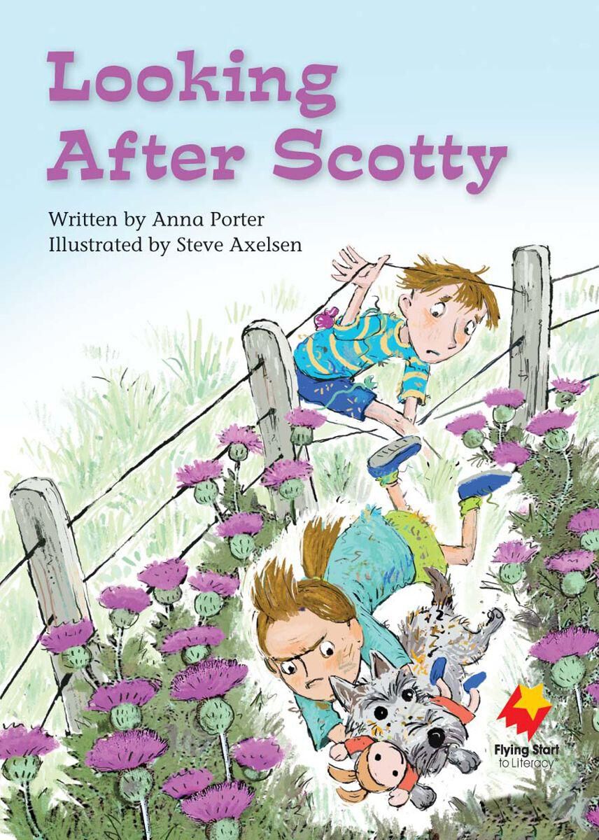 Flying Start: Level I Library Pack image number 7