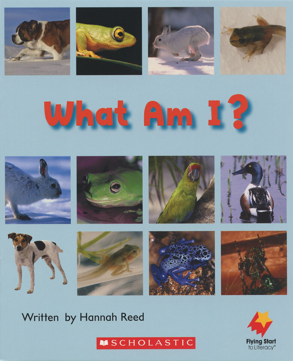 Flying Start: Level D: What Am I?/Tad Grows Up 12 Pack image number 1