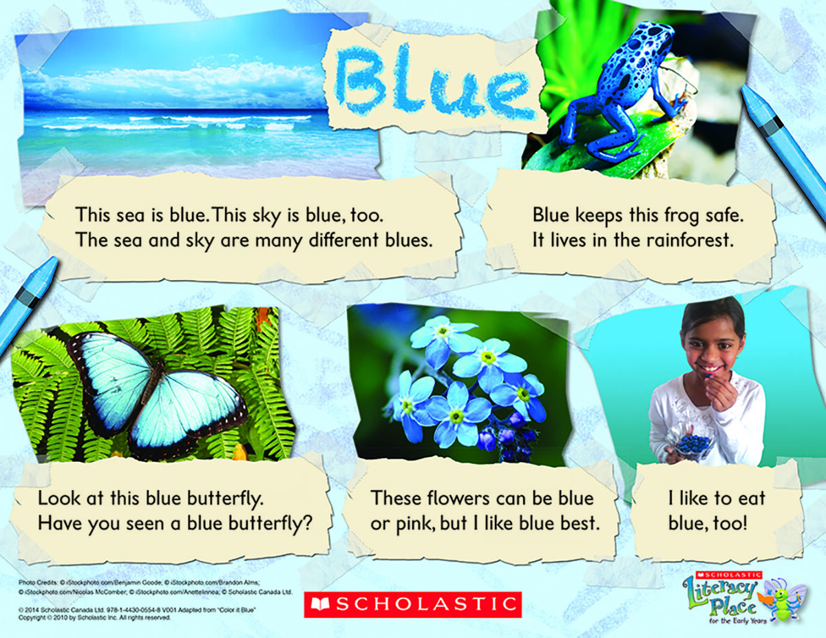 Literacy Place PLUS Grade 2 Guided Reading Collection image number 2