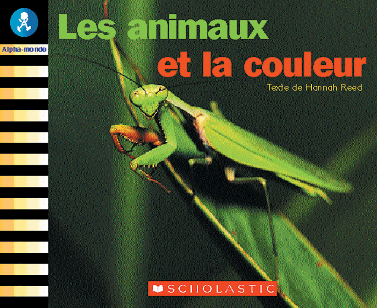 Alpha-monde: Emballage Niveau 10 (F) image number 4